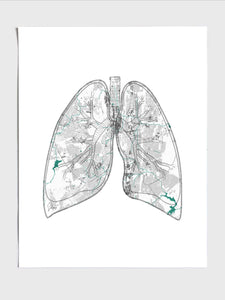 Road Map Lungs