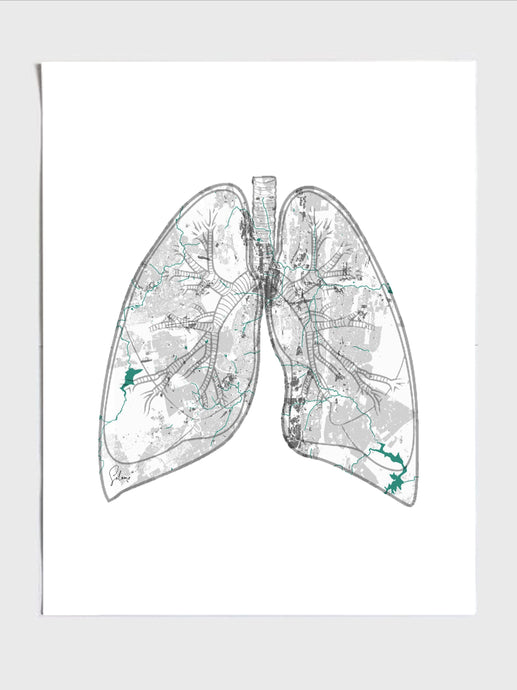 Road Map Lungs