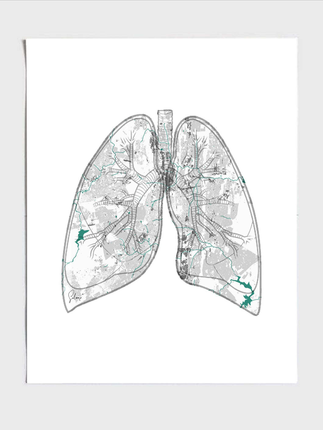 Road Map Lungs
