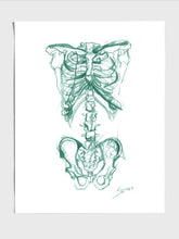 Skeleton Sketch