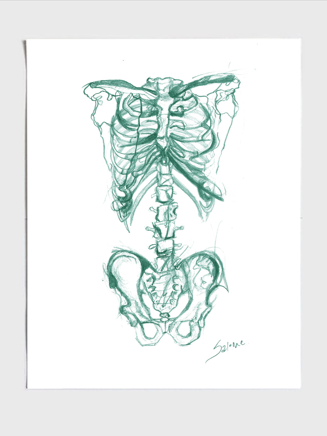 Skeleton Sketch