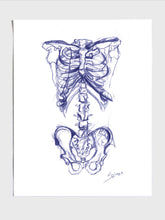 Skeleton Sketch