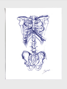 Skeleton Sketch