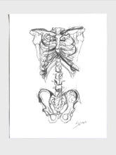 Skeleton Sketch