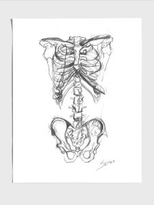 Skeleton Sketch